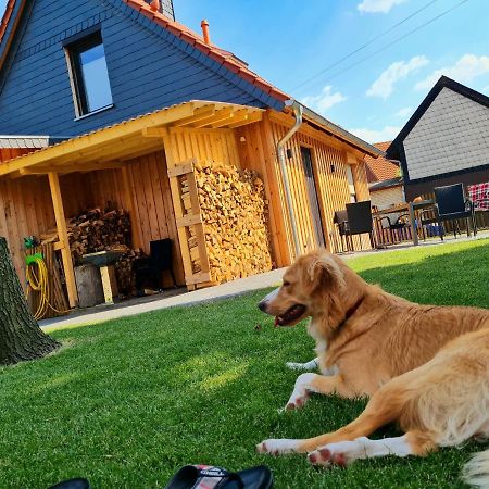 Ferienhaus Darlingerode Villa Kültér fotó