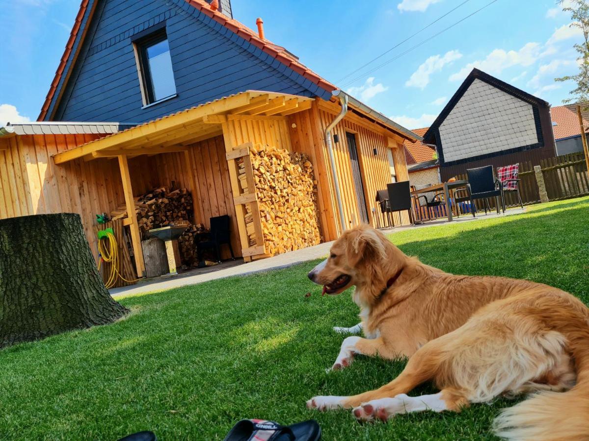 Ferienhaus Darlingerode Villa Kültér fotó